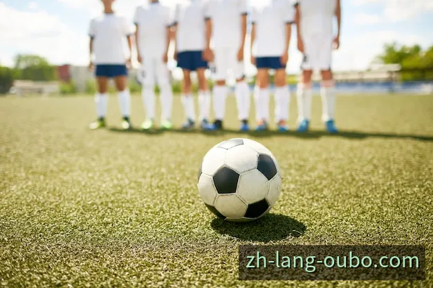 体育访问服务资质核验与安全提示